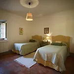 Chiarentana Di Donata Origo