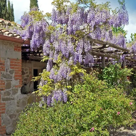 Chiarentana Di Donata Origo * Chianciano Terme