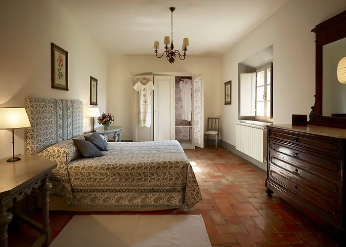 Chiarentana Di Donata Origo