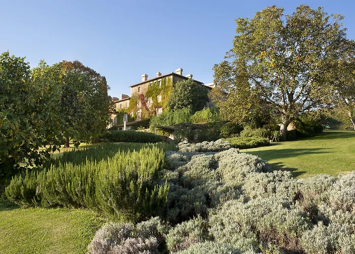 Chiarentana Di Donata Origo