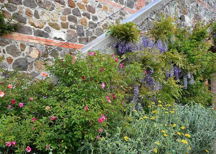 Chiarentana Di Donata Origo Chianciano Terme