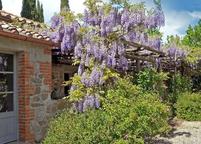 Chiarentana Di Donata Origo * Chianciano Terme