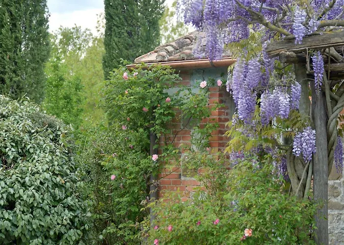 Chiarentana Di Donata Origo * Chianciano Terme